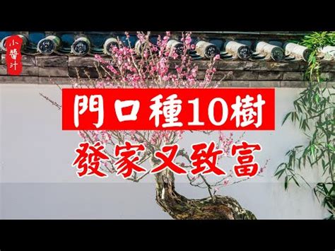 門口種松柏|【松柏風水】松柏的風水妙用：家門口種松柏，好運臨門